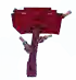 Horneddinoshroom